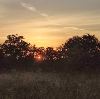 L'Alba al parco del Cormor di Campoformido